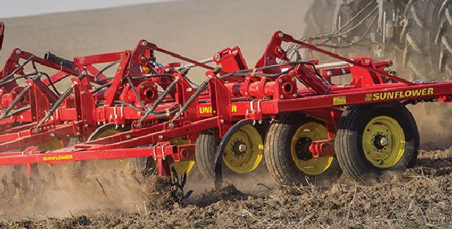 sunflower fallow tillage